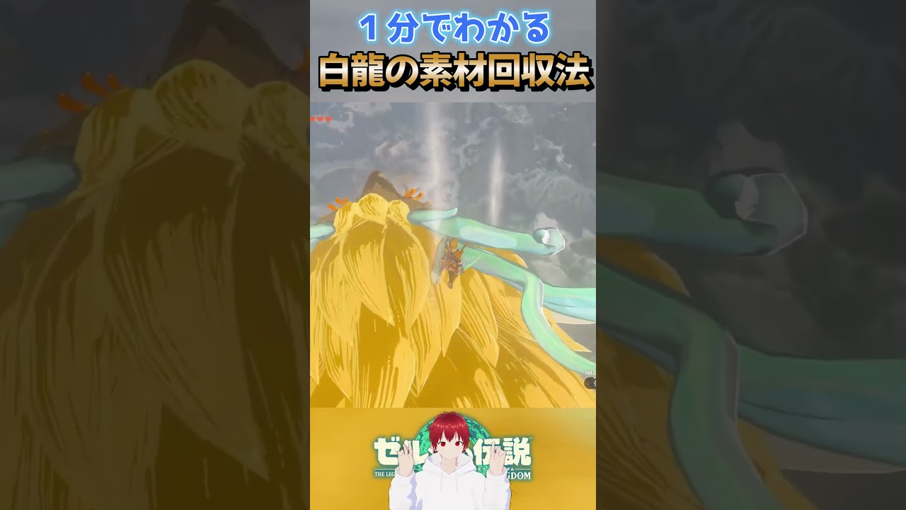 【ゼルダの伝説】１分でわかる白龍の素材回収法！！【ティアキン】