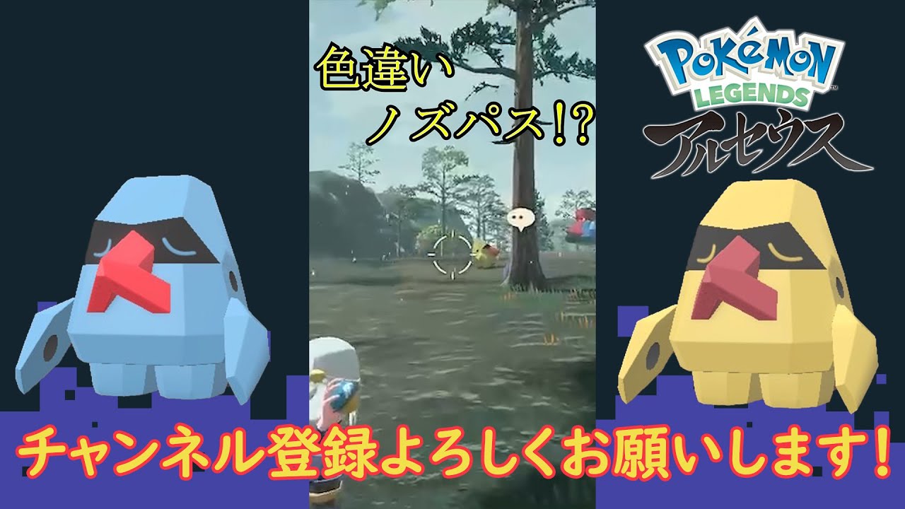 【Pokémon LEGENDS アルセウス】黄色いノズパス！？【色違い】 #shorts