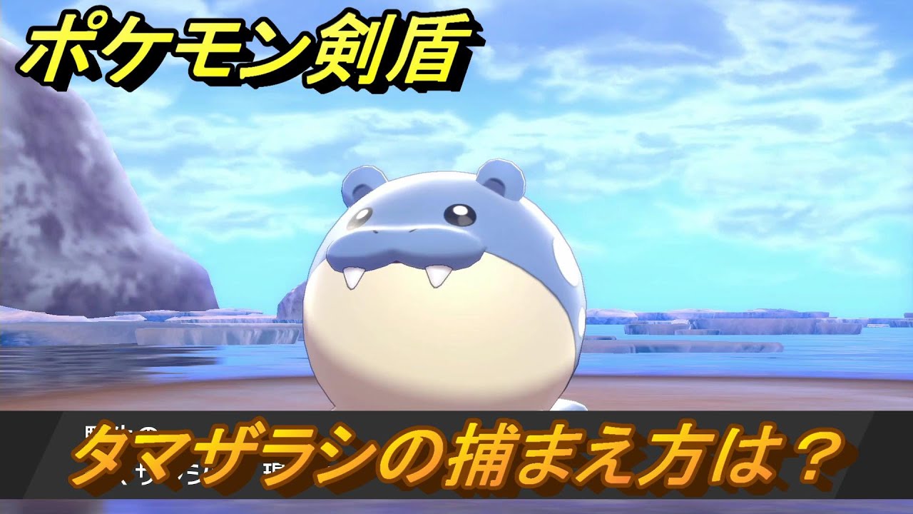ポケモン剣盾　タマザラシを捕まえる方法！オススメの場所は？天気は？ポケモン図鑑コンプへの道！　最新版【ポケモンソード・シールド】