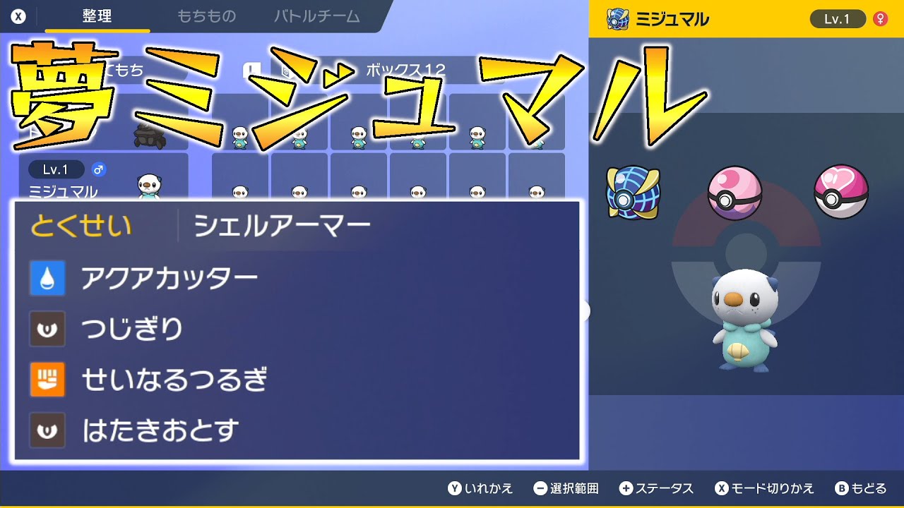 【ポケモンSV】夢ミジュマル配布（いじっぱり、ウルボ・ラブボ・ドリボ、タマゴ技有）【せう】