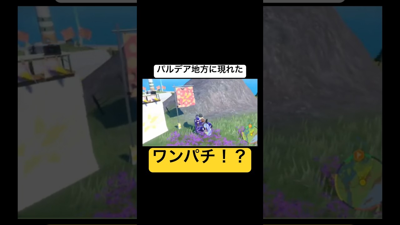 パルデア地方に現れたワンパチ！？ #ポケモンsv #スカーレット #バイオレット