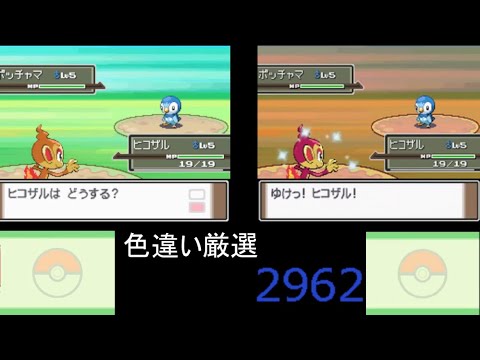 ポケモンプラチナ色違い旅　ヒコザル色違い出た