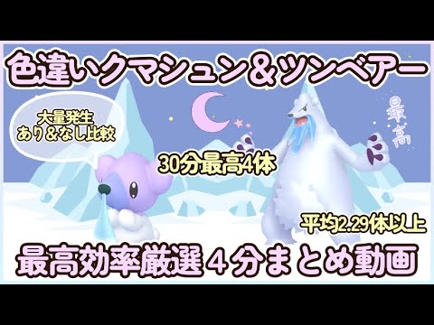 色違いクマシュン＆ツンベアー最高効率厳選 30分最高4体 平均2.29体以上 大量発生ありなし比較 #ポケモンsv #最高効率 #色違い #クマシュン #ツンベアー #大量発生なし #大量発生あり