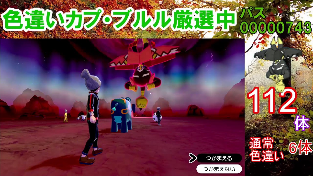 【ポケモン剣盾】カプ・ブルル色違い以外の色違いが出たら即配布！カプ・ブルル色厳選【ダイマックスアドベンチャー】