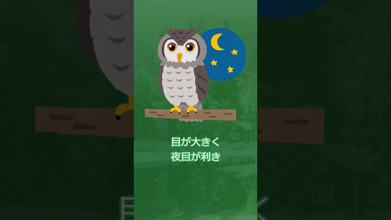 ずんだもんのポケモン元ネタ解説 モクロー#Shorts