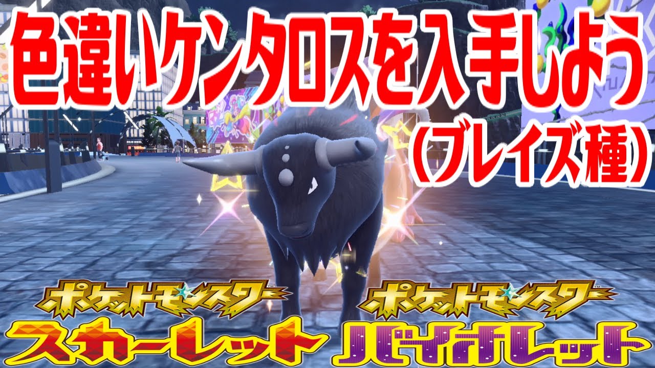 【ポケモンSV】色違いケンタロス(パルデアのすがた・ブレイズ種)を入手しよう タマゴふか(タマゴ孵化)【ポケットモンスター スカーレット・バイオレット】Pocket Monsters