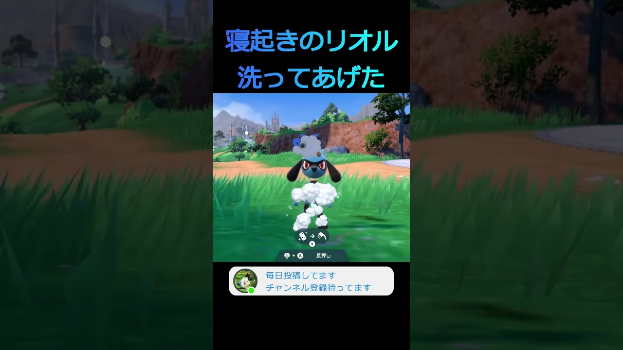 【ポケモンSV】寝起きのリオル洗ったら可愛すぎた #shorts