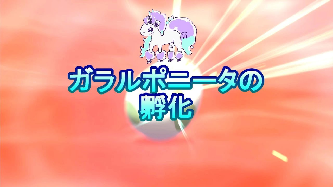 【ポケモン剣盾】ガラルポニータの孵化をする夜 6/26