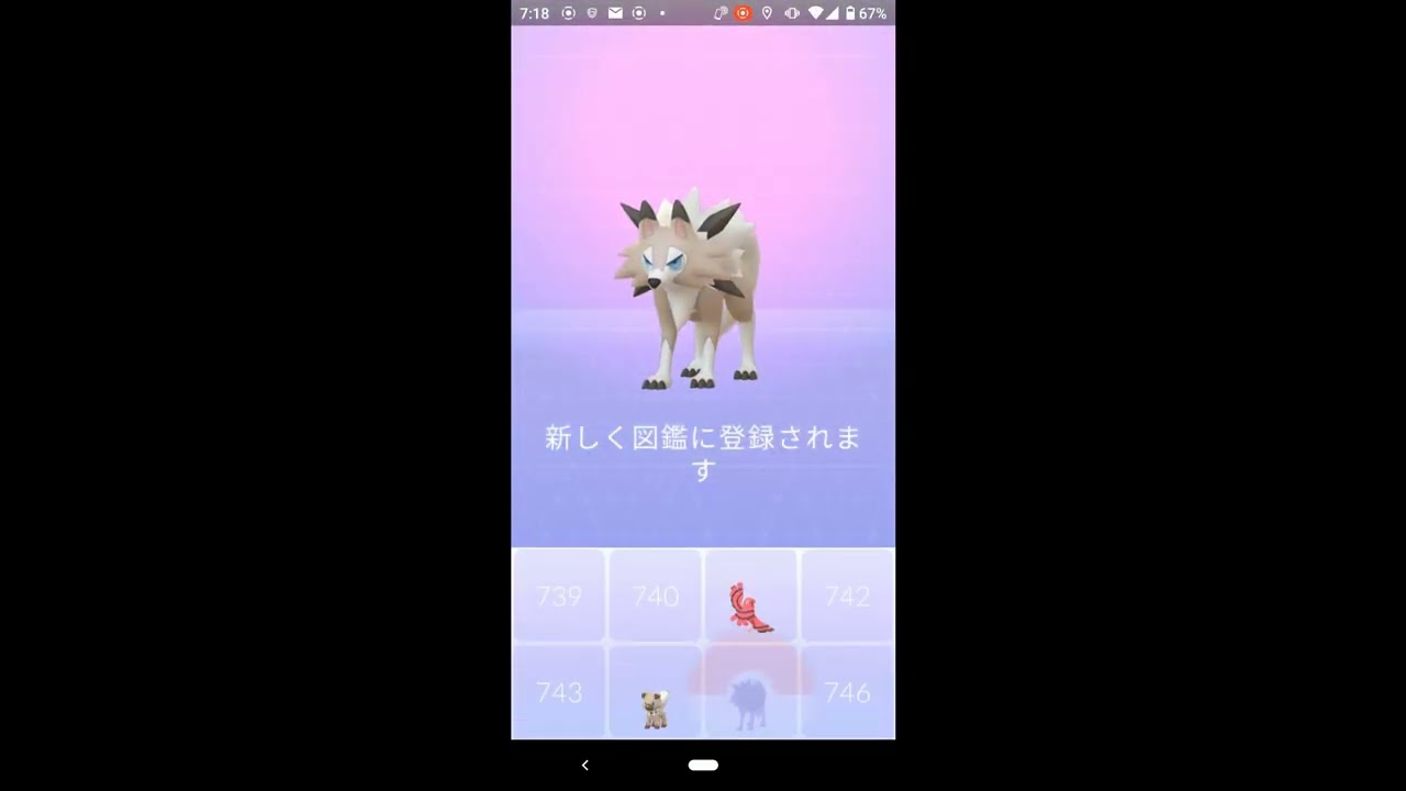 Pokemon GO イワンコ No 744 to ルガルガン No 745 Evolve Ivanco to Lugargan