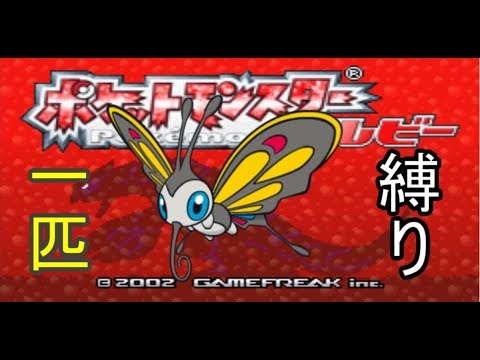 【鬼畜縛り】ケムッソだけで殿堂入り！！ part6-2 6の続きです