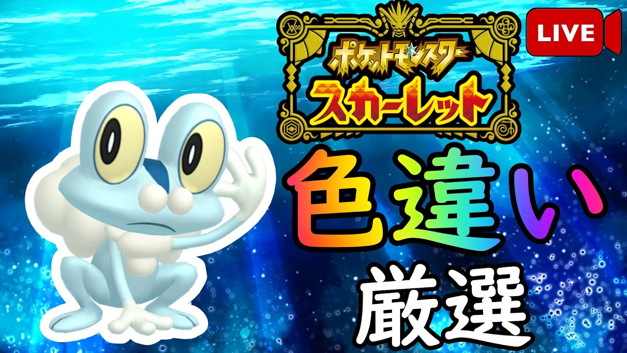 [ポケモンSV]色違いのケロマツを国際孵化で粘る！　初見さん歓迎！！