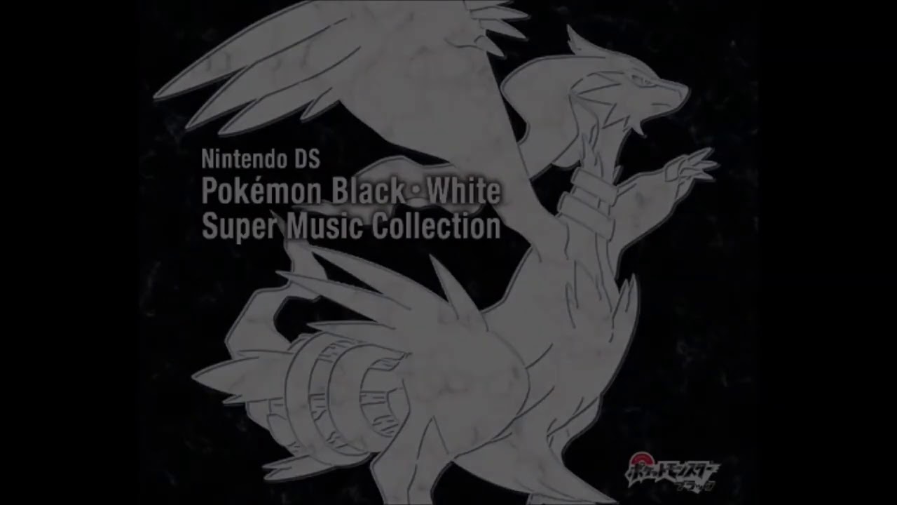 ポケモンBW 戦闘！伝説のポケモン　30分耐久
