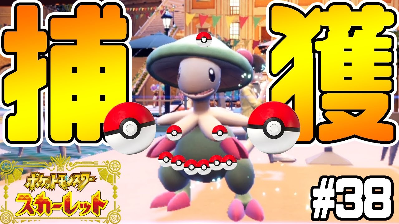#38【ポケモン図鑑完成にむけて】捕獲用キノガッサを作るぞ！【ポケットモンスタースカーレット実況】
