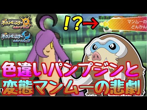 「受け」ゴーストタイプに未来はあるのか…？【ポケモンUSUM】