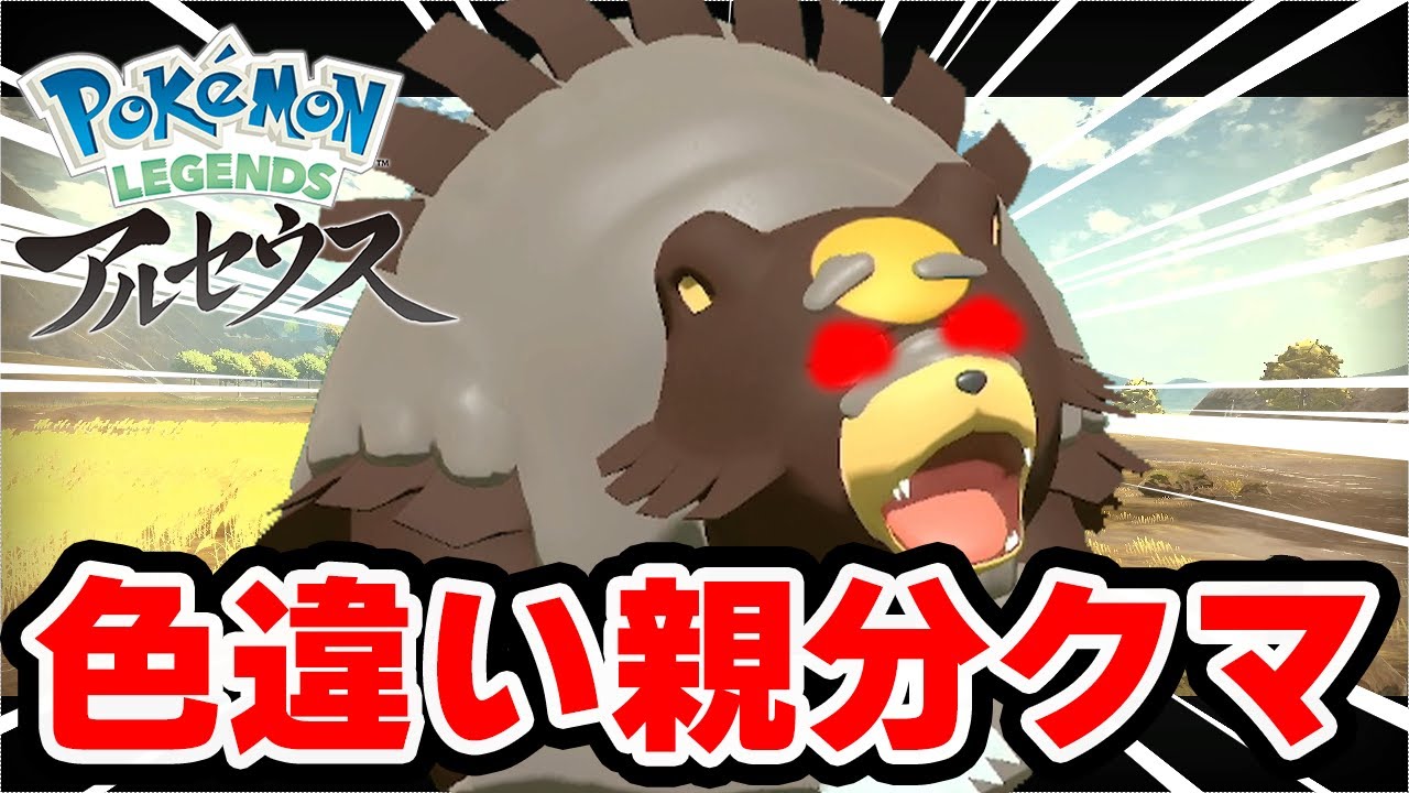 色違いオヤブンガチグマ出たぞ！【ポケモンレジェンズアルセウス】