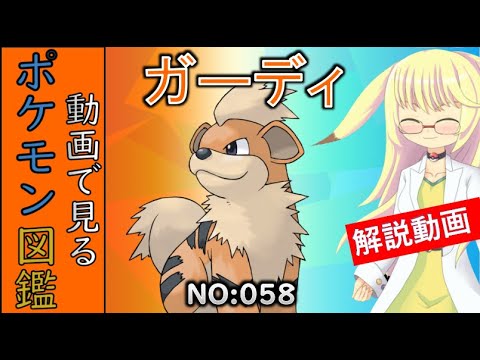 【ポケモン考察】 ペットにほしいポケモンの一匹！　ガーディ【ゆっくり解説】 【ポケモン図鑑詳細版】