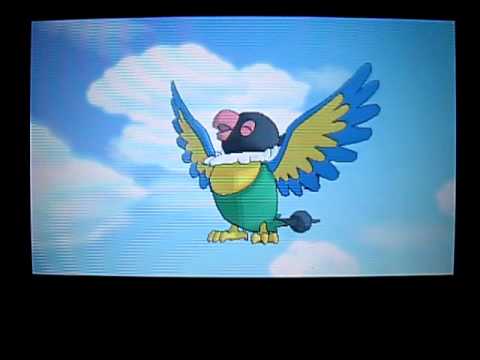 ポケモンXYトレーナープロモ「ペラップ」