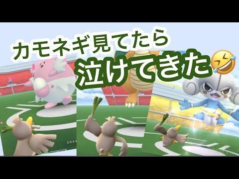 カモネギだって束になれば！（ポケモンGO）