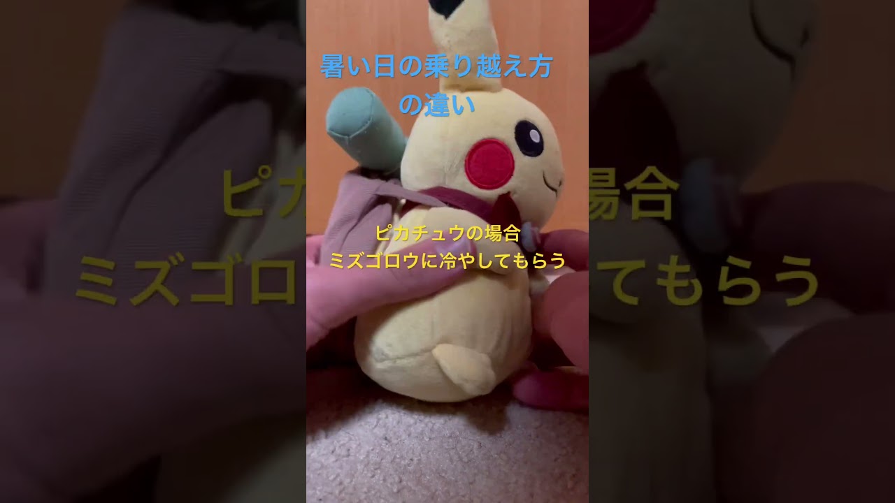 皆さん暑い日はどのように過ごしますか？#shorts #ミズゴロウ