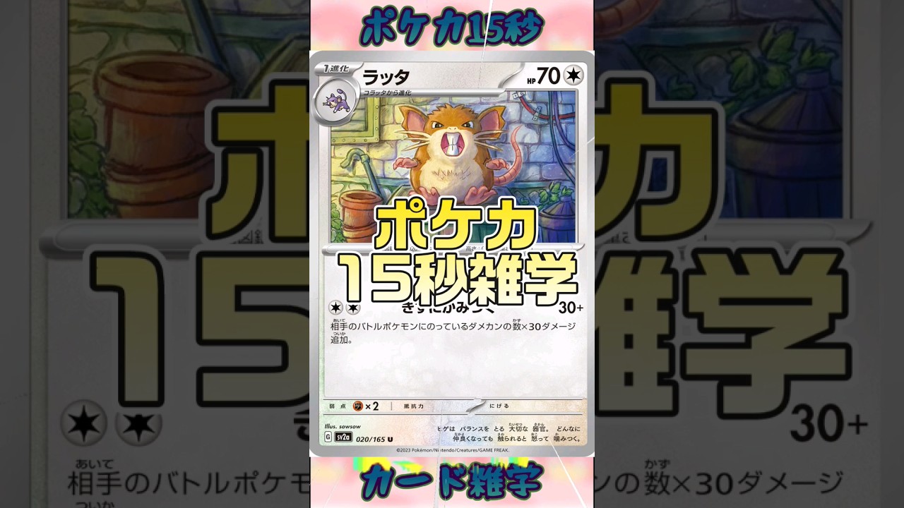 [ポケモンカード]ポケカ15秒雑学‼️ラッタ‼️ #pokemon #ポケモンカード #shorts
