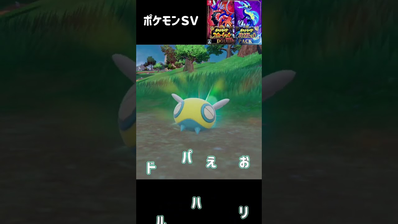 ノコッチ進化　ノココッチ　ポケモンSV #pokemon