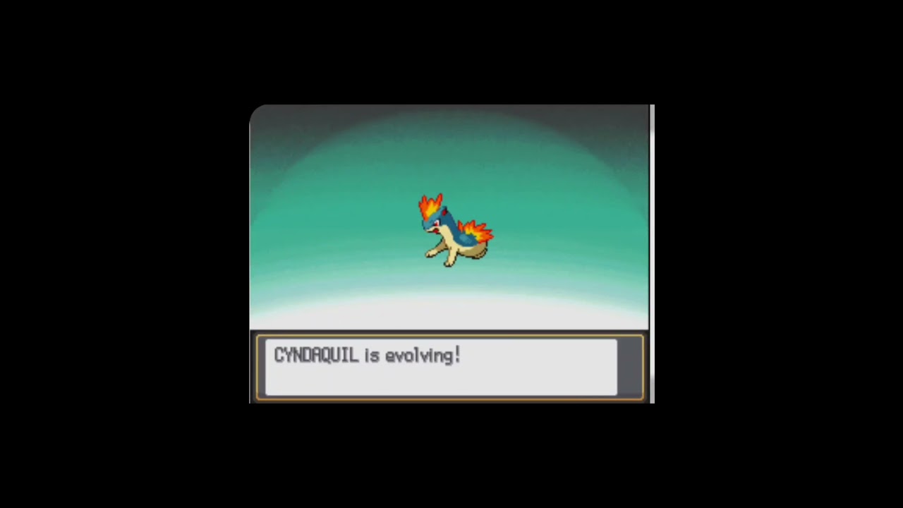 Cindaquil envolve to Quilava