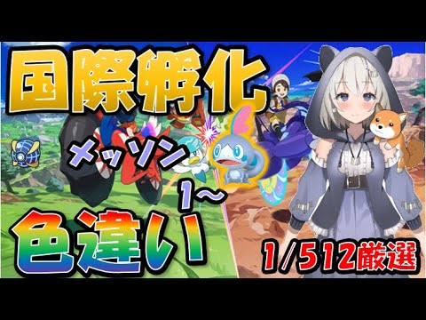【ポケモンSV】国際孵化色違い厳選　メッソン　1～　１日目