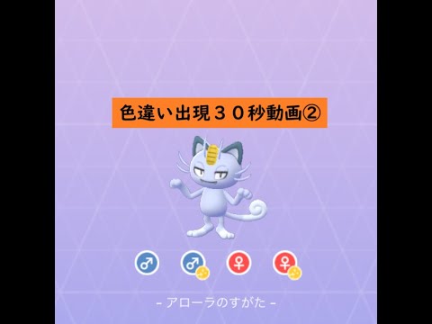 【ポケモンGO】色違い出現30秒前 ＃052 ニャース(アローラ)②#Shorts