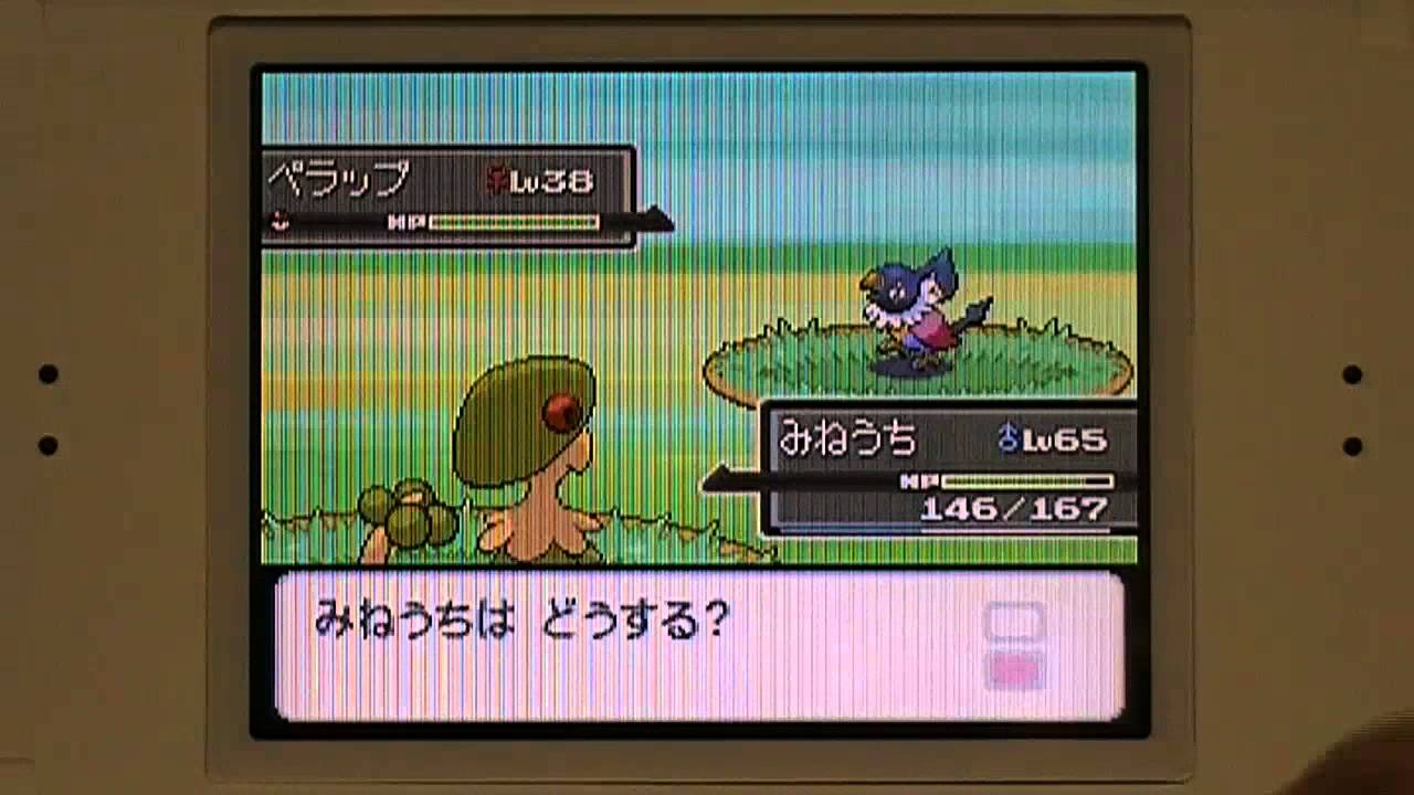 ポケトレで色違いペラップ＠プラチナ