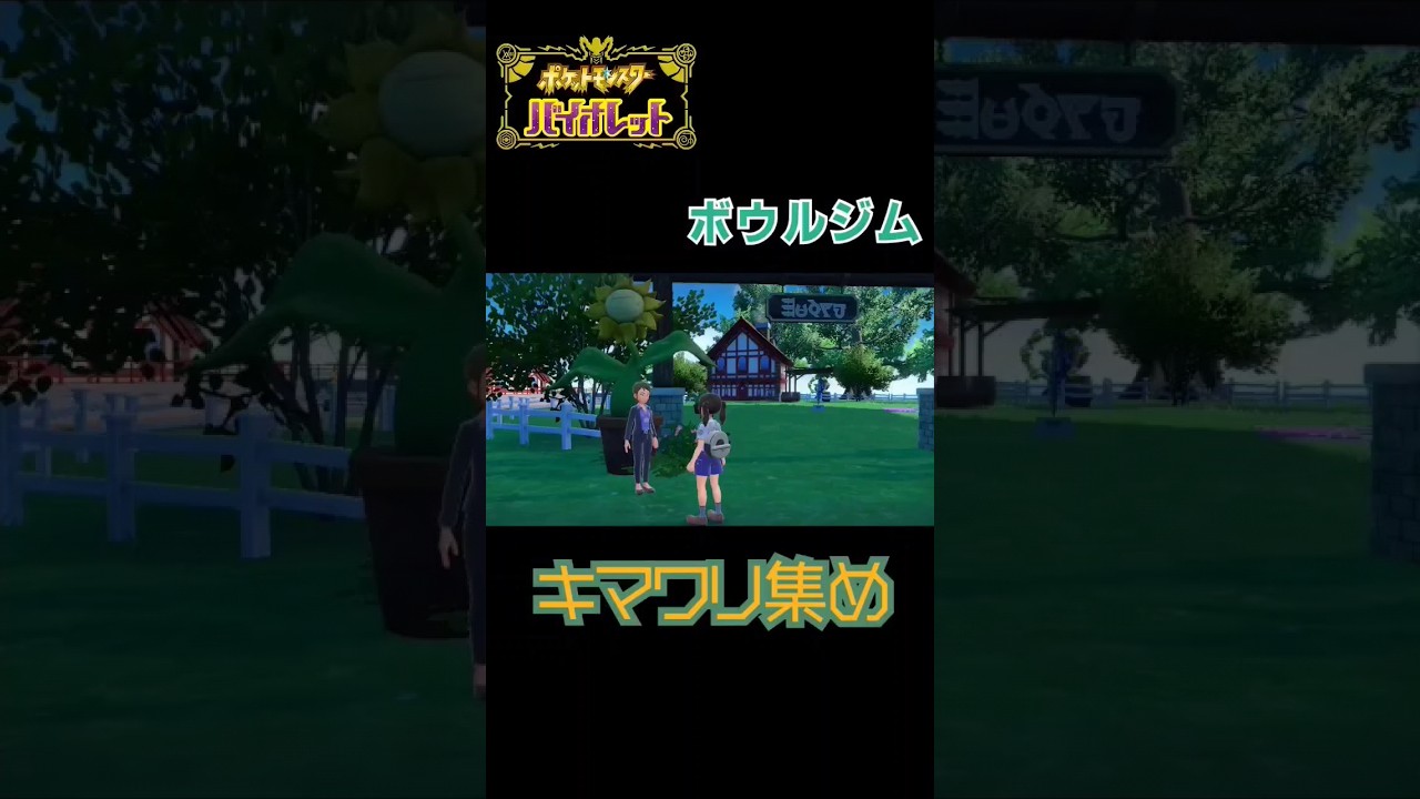キマワリ集め　#ポケモンバイオレット