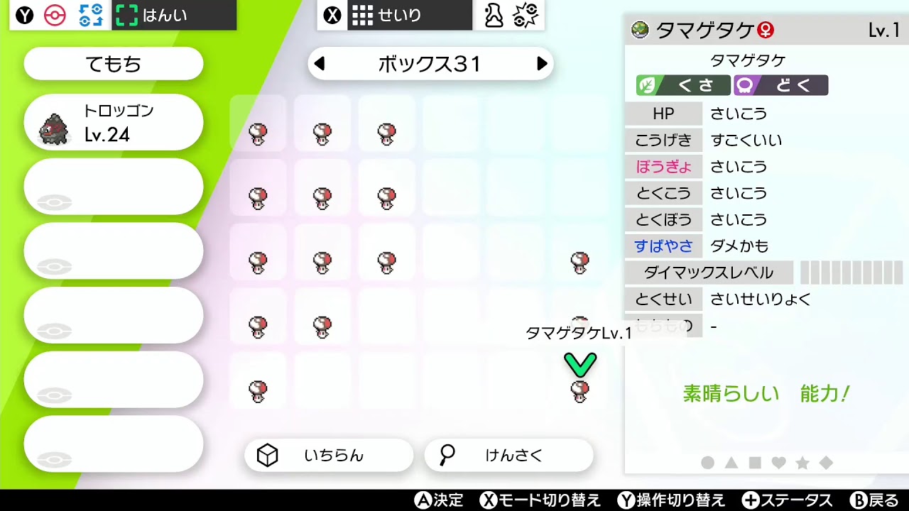 タマゲタケ厳選配信