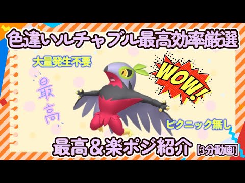 【3分動画】色違いルチャブル最高効率厳選＆楽ポジ紹介#ポケモンsv #最高効率 #色違い #大量発生不要 #ピクニックなし #ルチャブル