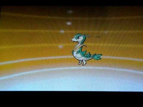 ポケットモンスター ホワイト、ジャノビー / ジャローダ