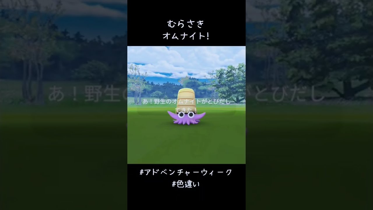 むらさきオムナイト✨✨✨そして25km歩く達成🚶#ポケモンGO #アドベンチャーウィーク #色違い