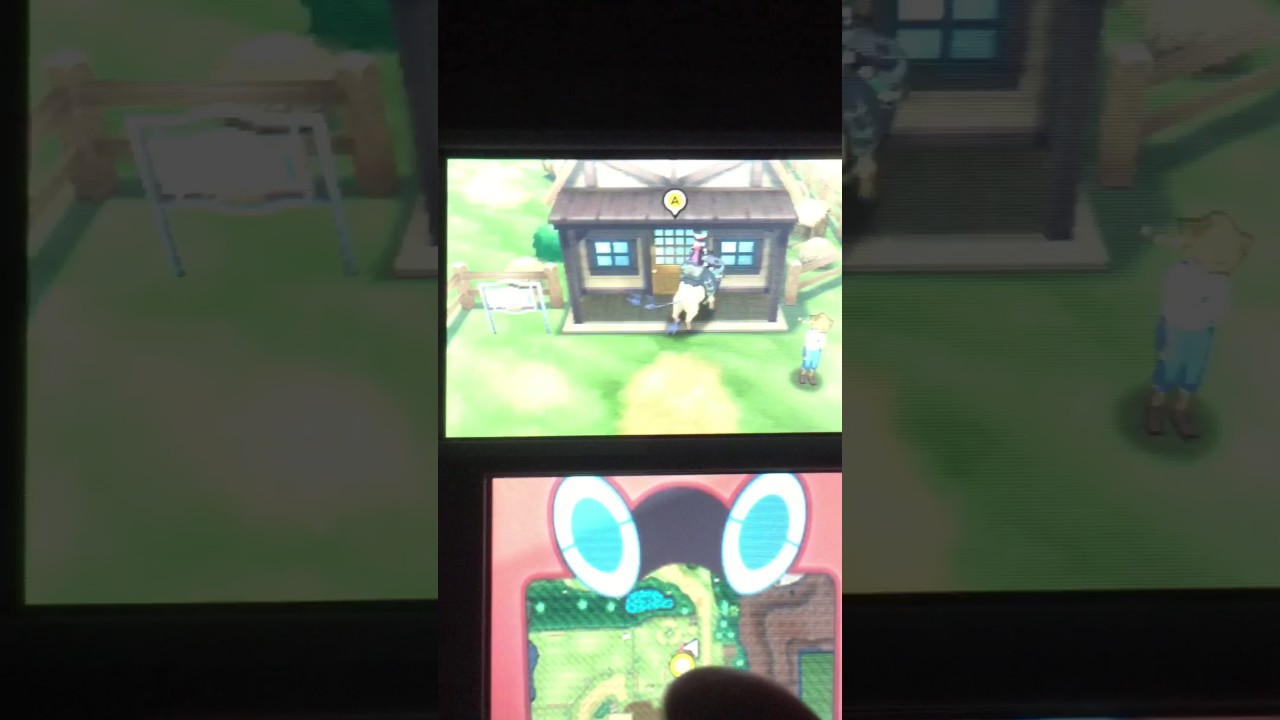 ポケモンサンムーン 色リオルを孵化させた！！