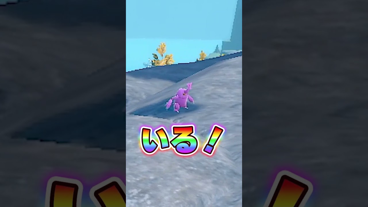 激レア！♀の色違いヘラクロス！！【ポケモンSV]】