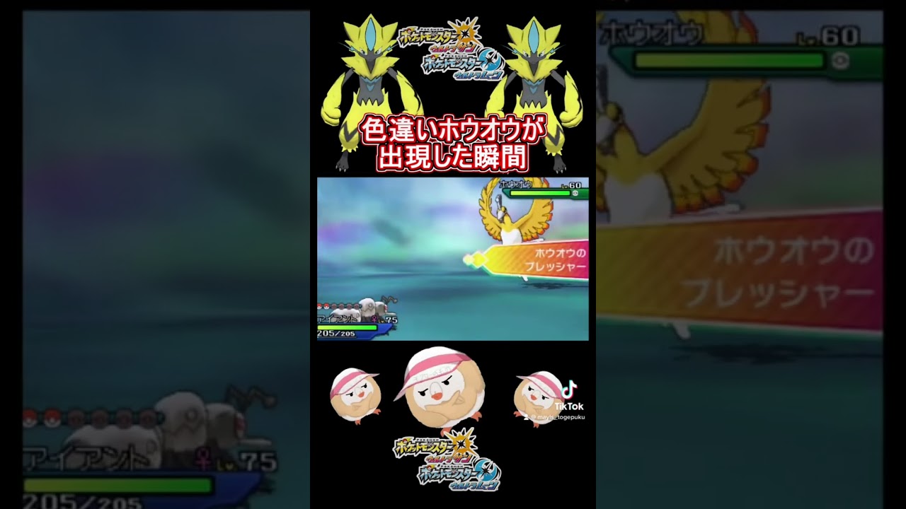 色違いホウオウをウルトラボールで捕獲せよ！ #shorts #色違い #ポケモンusum
