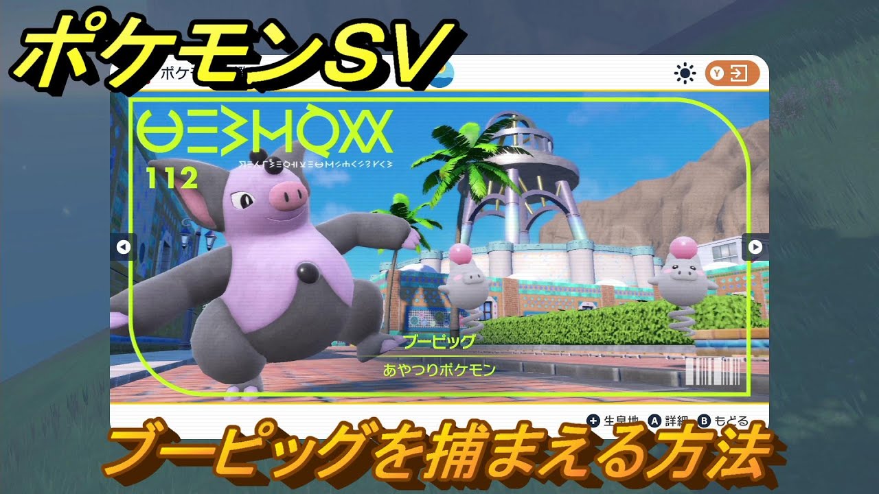 ポケモンＳＶ　ブーピッグを捕まえる方法！出現場所は？図鑑No.１１２　ポケモン図鑑を埋めよう！　【スカーレット・バイオレット】