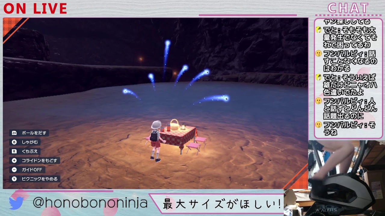 【ポケモンSV】色違いの証付きエンニュート厳選！
