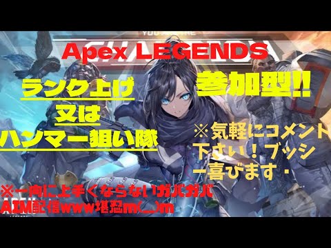 参加型 #apex  ｢ひたすらランクあげ♪｣ブッシーin the ピッピ600 #72
