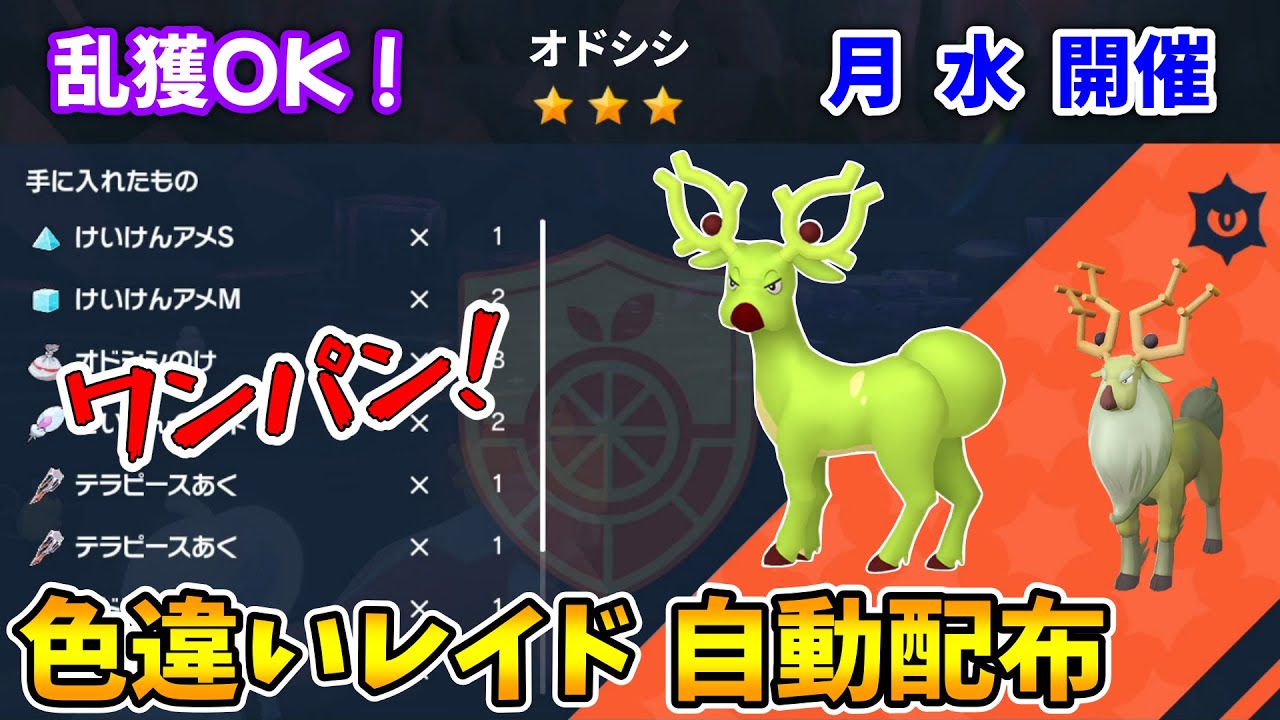 乱獲OK！色違いオドシシ自動レイド配布会！【ポケモンSV】