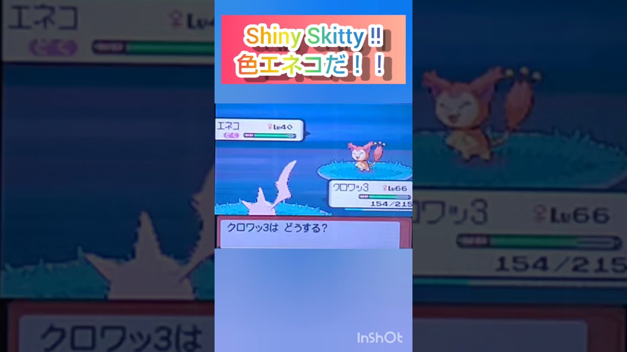 【ポケモンDP】色違い捕獲日記　44日目　エネコ【PokémonDP】The diary Capturing shiny Pokémon's　Day44　Skitty　#shorts