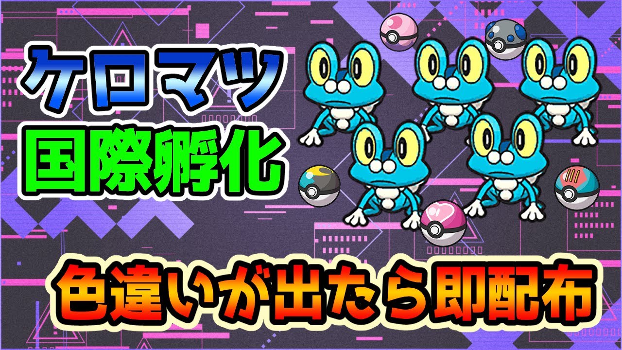 【ポケモンSV】ケロマツ国際孵化するぞ！【色違いが出たら即配布】