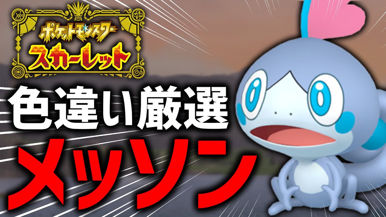 【ポケモンSV】ハリマロンの前にメッソン孵化厳選する配信！#2【現在100越え】