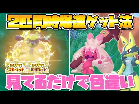 【ポケモンSV】放置で簡単！色違いリオル・ルカリオ・デカヌチャンを簡単に捕まえる厳選方法