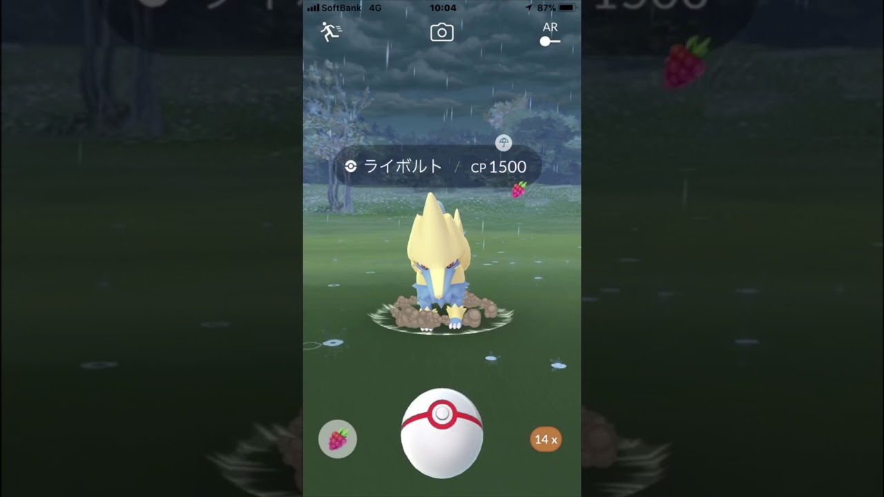 ポケモンGO  ライボルト