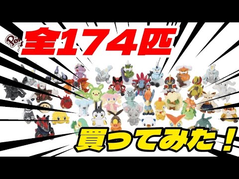 総額25万！！ブラック・ホワイトのポケモンぬいぐるみ全種類買ってみた！【Pokemon fit】