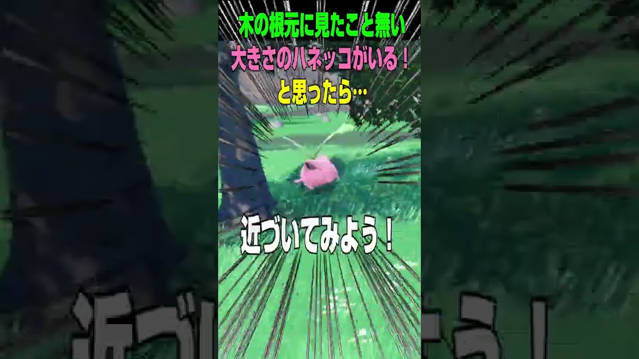 【ポケモンSV】なんかでかくない？木の根元に見たこと無い大きさのハネッコがいる！と思って意気揚々と木に近づこうとしたら… #shorts