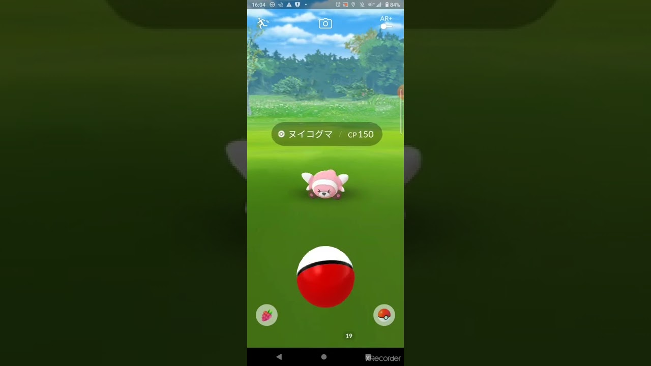 【ポケモンGO】ヌイコグマの威嚇が可愛すぎる件
