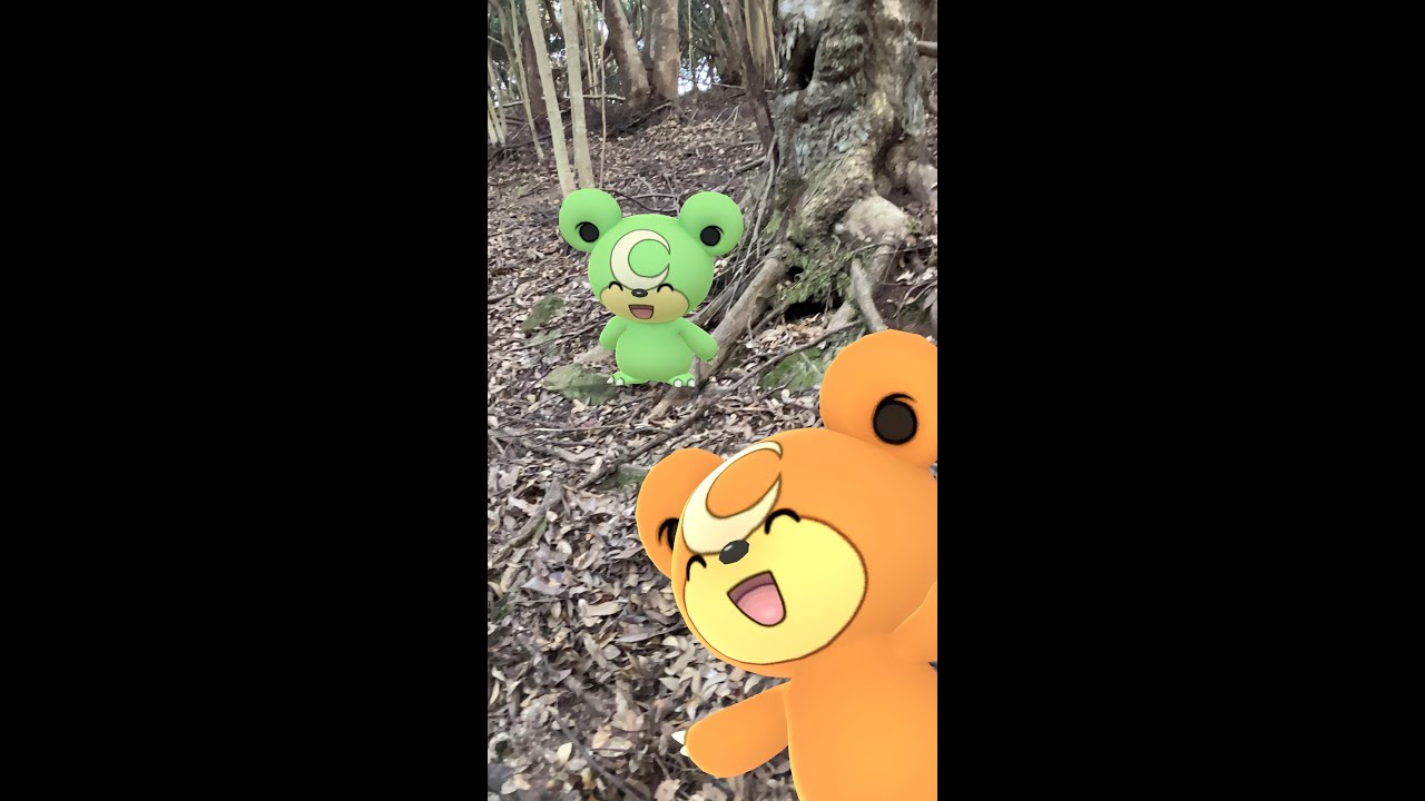 ヒメグマ｜Teddiursa｜リングマ｜Ursaring｜ガチグマ｜Ursaluna｜ShinyPokémon｜GOphotobomb【ポケモンGO】PoKeMoN GO AR｜#Shorts